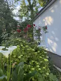 Maison a vendre Plougoumelen 56400 Morbihan 56 104 m2 5 pièces 364900 euros 56002-1556 001