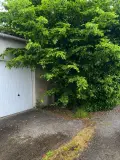 Maison a vendre Pont-Saint-Martin 44860 Loire-Atlantique 44 148 m2 4 pièces 149692 euros 44039-1765 011