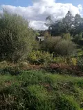 Maison a vendre Collorec 29530 Finistère 29 62 m2 2 pièces 211000 euros 29064-2886 023