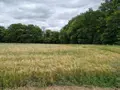 Terrains de loisirs bois etangs a vendre Val d'Oust 56460 Morbihan 56 1790 euros 56050-712 001