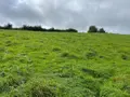 Terrains de loisirs bois etangs a vendre Reffuveille 50520 Manche 50 21800 euros 50020-1438 002