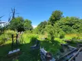 Maison a vendre Le Saint 56110 Morbihan 56 65 m2 2 pièces 179100 euros 56071-2537 013