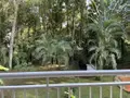 Appartement a vendre Fort-de-France 97200 Martinique 972 60 m2 3 pièces 200000 euros 97207-707 001