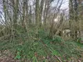 Divers a vendre Saint-Rimay 41800 Loir-et-Cher 41 87 m2 4 pièces 19800 euros 41059-1013 010