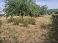 Terrain a batir a vendre Ougney 39350 Jura 39 44000 euros 25012-954 004