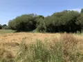 Terrain a batir a vendre Arzon 56640 Morbihan 56 299900 euros 56004-914 001