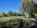 Maison a vendre La Chapelle-Souëf 61130 Orne 61 220 m2 11 pièces 208890 euros 61068-63 009
