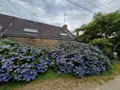 Maison a vendre Plumelec 56420 Morbihan 56 85 m2 4 pièces 182350 euros 56050-668 003