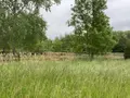 Terrain a batir a vendre Saint-Euphraise-et-Clairizet 51390 Marne 51 95000 euros 51066-1868 005