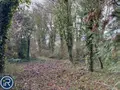 Maison a vendre Louverné 53950 Mayenne 53 124 m2 6 pièces 228800 euros 53004-1290 019