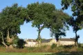 Maison a vendre Ambon 56190 Morbihan 56 157 m2 5 pièces 670872 euros 56005-894 036