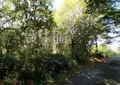 Terrains de loisirs bois etangs a vendre Le Bosc du Theil 27370 Eure 27 37000 euros 27061-1513 004