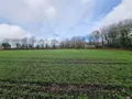 Terrain a batir a vendre Locronan 29180 Finistère 29 138000 euros 29127-1162 001