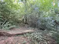 Maison a vendre Saint-Jean-Brévelay 56660 Morbihan 56 47 m2 2 pièces 59000 euros 56056-196 013