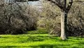 Maison a vendre Ambillou 37340 Indre-et-Loire 37 140 m2 6 pièces 777000 euros 37009-2655 015