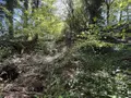 Terrain a batir a vendre Saint-Antoine-du-Rocher 37360 Indre-et-Loire 37 64200 euros 37037-17 002
