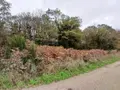 Terrains de loisirs bois etangs a vendre Allaire 56350 Morbihan 56 7500 euros 56084-354 003