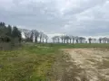 Terrain a batir a vendre Taupont 56800 Morbihan 56 104750 euros 56044-1495 001