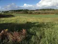 Divers a vendre Esquibien 29770 Finistère 29 1386 m2 54577 euros 29021-2065 002