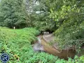Terrains de loisirs bois etangs a vendre Montaudin 53220 Mayenne 53 13500 euros 53004-1253 009