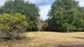 Maison a vendre Séné 56860 Morbihan 56 140 m2 641343 euros 56003-1466 032