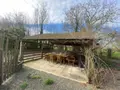 Maison a vendre Cherrueix 35120 Ille-et-Vilaine 35 300 m2 5 pièces 472200 euros 35130-3737 019