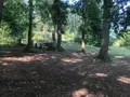 Terrain a batir a vendre Laon 02000 Aisne 02 56000 euros 02002-264 007