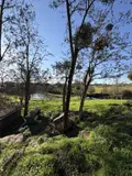 Terrain a batir a vendre Cholet 49300 Maine-et-Loire 49 94500 euros 49055-82 001