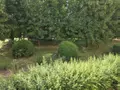 Appartement a vendre Reims 51100 Marne 51 90 m2 5 pièces 263500 euros 51010-324 015