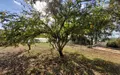 Maison a vendre Cléden-Poher 29270 Finistère 29 137 m2 7 pièces 204750 euros 29066-3944 002