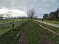 Divers a vendre Meslan 56320 Morbihan 56 100 m2 105760 euros 56032-1612 003