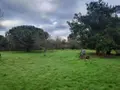 Terrain a batir a vendre Saint-Urbain 85230 Vendée 85 94555 euros 85091-5087 002