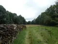 Terrain a batir a vendre Loqueffret 29530 Finistère 29 53000 euros 29129-1048 002