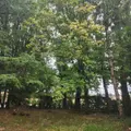 Maison a vendre Cherré-Au 72400 Sarthe 72 117 m2 202800 euros 72085-2290 003
