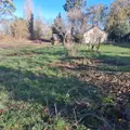 Maison a vendre Loire-Authion 49250 Maine-et-Loire 49 158 m2 7 pièces 238120 euros 49039-1097 004