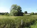 Terrains de loisirs bois etangs a vendre Évron 53600 Mayenne 53 91149 euros 53078-1890 005