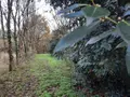 Terrains de loisirs bois etangs a vendre Aizenay 85190 Vendée 85 41280 euros 85091-5199 001