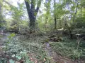 Maison a vendre Saint-Jean-Brévelay 56660 Morbihan 56 47 m2 2 pièces 59000 euros 56056-196 010