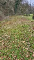 Terrain a batir a vendre Bart 25420 Doubs 25 99000 euros 25054-1738 003