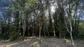 Maison a vendre Meslan 56320 Morbihan 56 105 m2 3 pièces 192950 euros 56081-2656 003