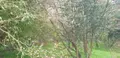 Terrain a batir a vendre Plougonvelin 29217 Finistère 29 360692 euros 29058-1678 004
