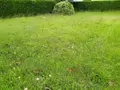 Terrain a batir a vendre Champigné 49330 Maine-et-Loire 49 31800 euros 49096-1339 001