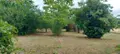 Maison a vendre L'Île-Bouchard 37220 Indre-et-Loire 37 130 m2 8 pièces 169600 euros 37060-2310 018