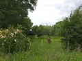 Maison a vendre Locmaria-Grand-Champ 56390 Morbihan 56 171 m2 5 pièces 356722 euros 56005-878 020