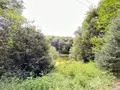Maison a vendre Lizio 56460 Morbihan 56 260 m2 201900 euros 56046-1245 029