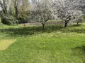 Maison a vendre Hénin-Beaumont 62110 Pas-de-Calais 62 151 m2 8 pièces 398000 euros 62034-4042 017