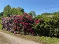Maison a vendre Saint-Aubin-du-Thenney 27270 Eure 27 209 m2 5 pièces 323400 euros 14058-1784 033