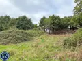Terrains de loisirs bois etangs a vendre Montaudin 53220 Mayenne 53 13500 euros 53004-1253 012