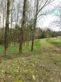 Maison a vendre Spézet 29540 Finistère 29 50 m2 2 pièces 32500 euros 29066-3755 002