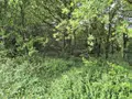 Terrains de loisirs bois etangs a vendre Saint-Servant 56120 Morbihan 56 11000 euros 56049-834 002